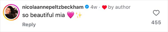 Instagram comment from Nicola Peltz Beckham praising Mia with a heart emoji amid Romeo and Cruz Beckham family drama.