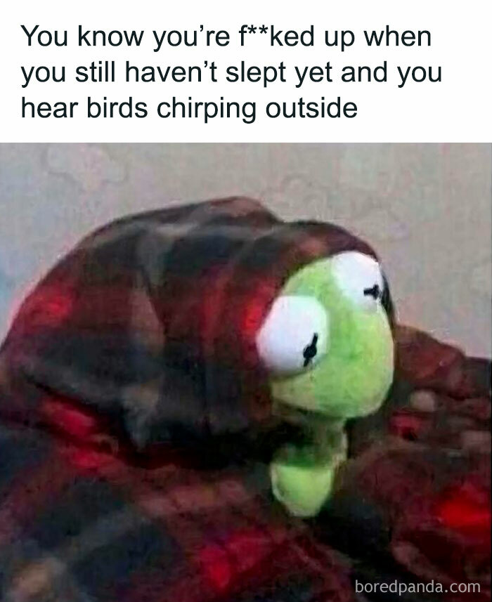 Tired Kermit meme wrapped in a blanket with text about staying up late, reflecting nostalgia and millennial life humor.