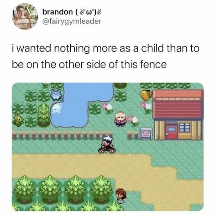 Childhood nostalgia meme showing a classic pixelated video game scene with characters and a fence barrier.