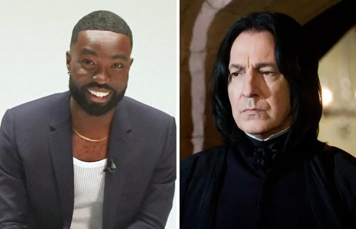New cast for Harry, Hermione, and Ron in upcoming Harry Potter series causes diverse reactions online.