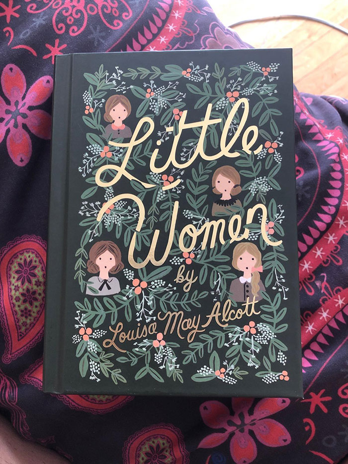 Decorative cover of Little Women book by Louisa May Alcott, featured among excellent books recommended by readers online.
