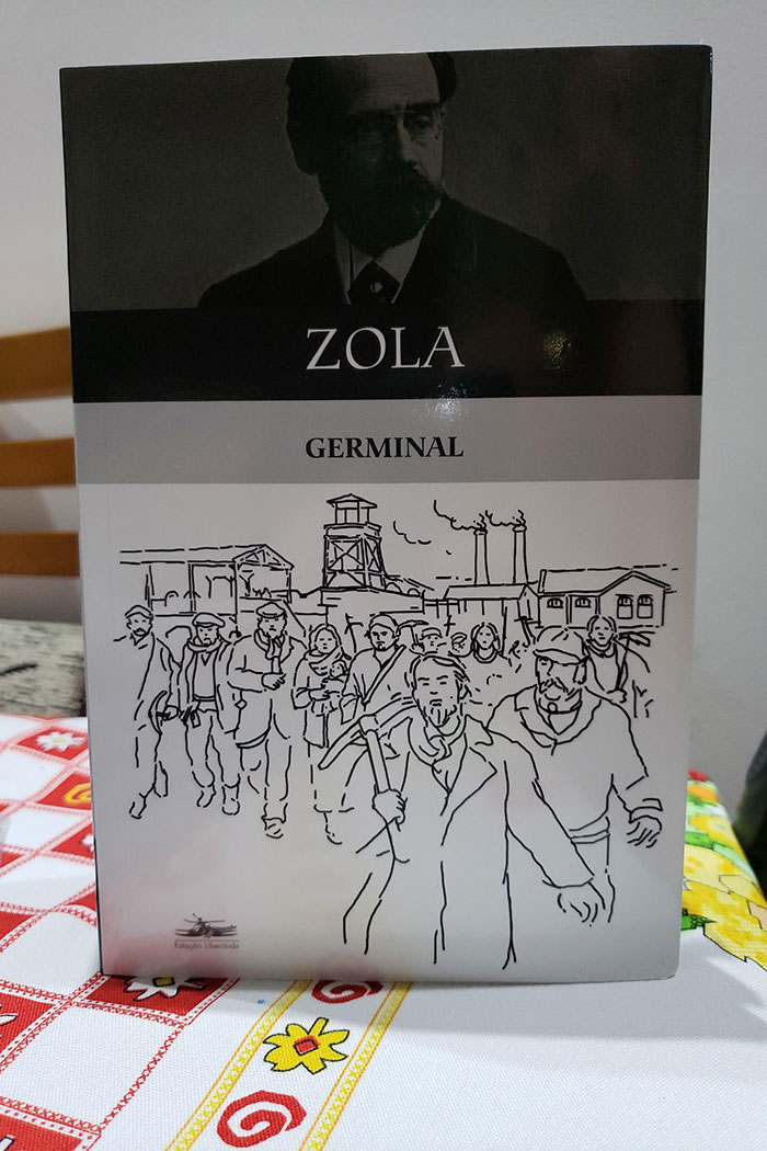 Book Germinal by Zola with illustrated cover showing miners walking, featured among excellent books recommended by readers online.