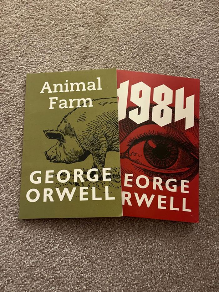Two classic books by George Orwell, Animal Farm and 1984, shown on a carpet, recommended excellent books by readers online.