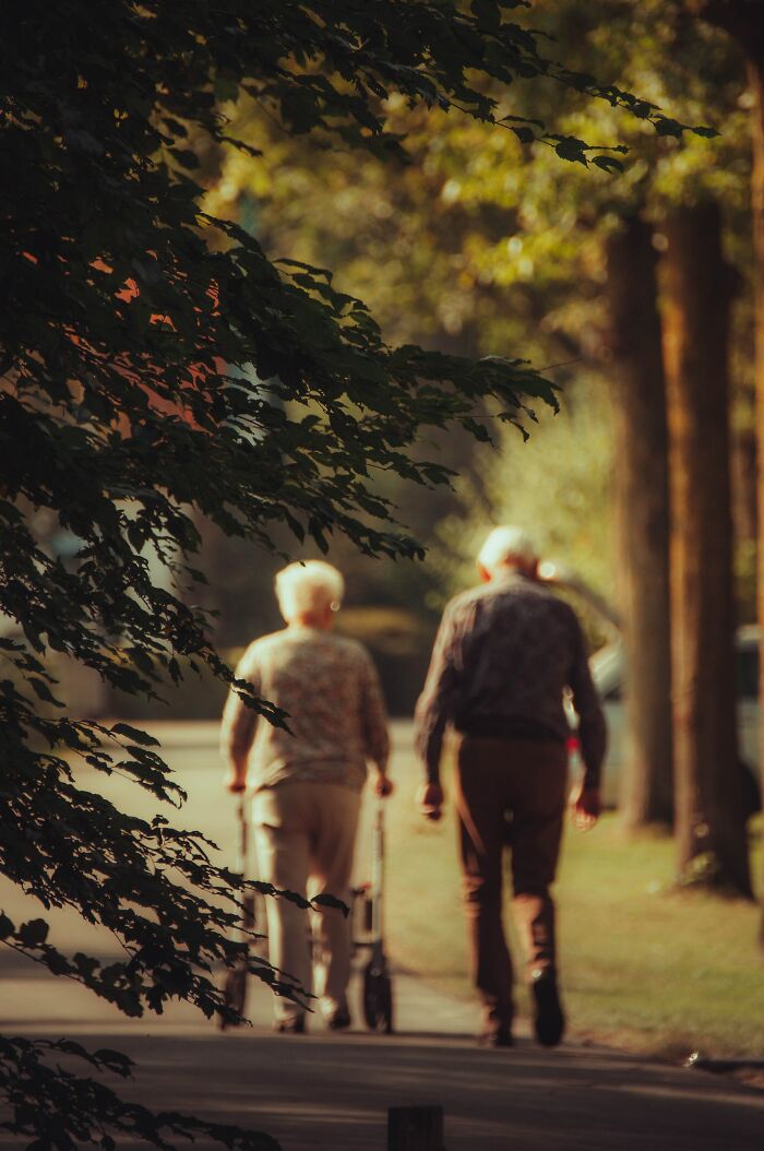Elderly couple walking down a tree-lined path, symbolizing reflections on dark family secrets revealed in adulthood.