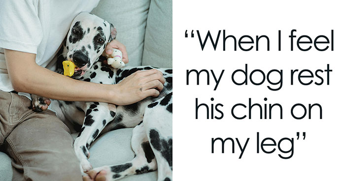 36 Life’s Little Moments That Only Prove That Happiness Doesn’t Have To Be Grand