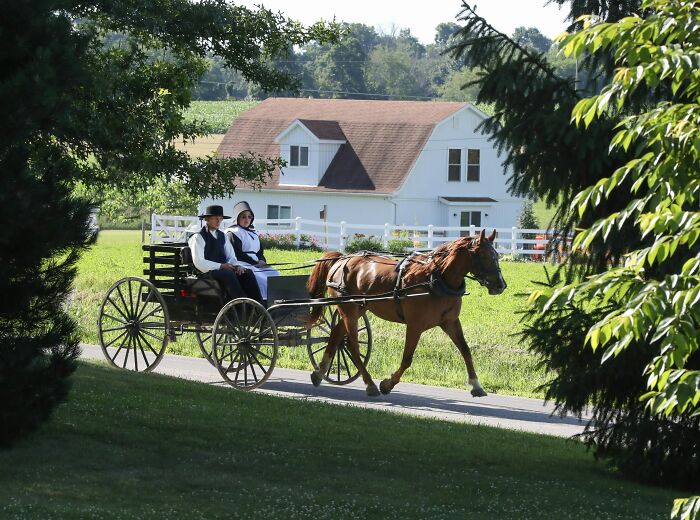 Horse-drawn buggy with Amish couple riding on a rural road, illustrating dark family secrets shared by adults.