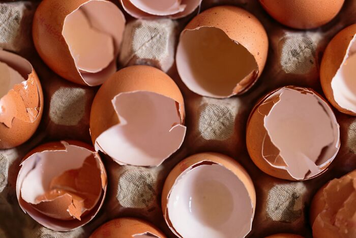 Close-up of c*****d eggshells in a carton, illustrating weird things found secretly doing by girlfriends.