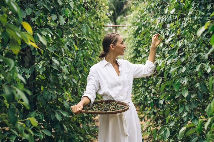 50 Times People Missed The Most Basic Facts: “Blew My Mind”