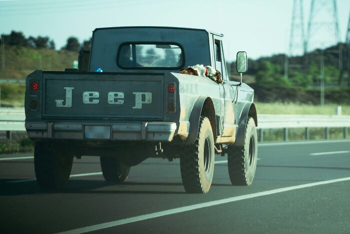 Someone Asked People The Weirdest Ways They’ve Ever Made Money, And These 40 Answers Are Wild