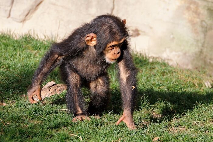 Tiny Facts, Huge Shockwaves: 50 Fascinating “Today I Learned” Facts To Shift Your Perspective (New Facts)