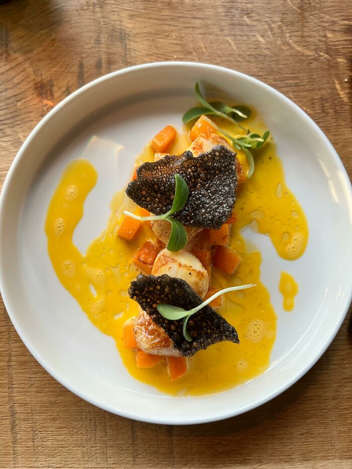 Plated gourmet dish with seared scallops, crispy garnish, microgreens, and vibrant cooking sauce on a white plate.