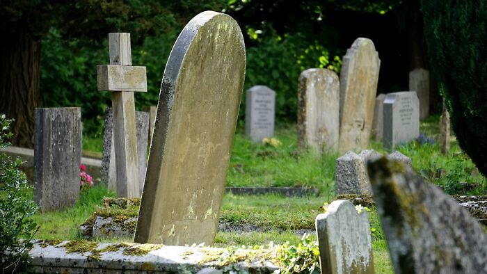 Old weathered gravestones in a quiet cemetery representing dark family secrets uncovered in adulthood.