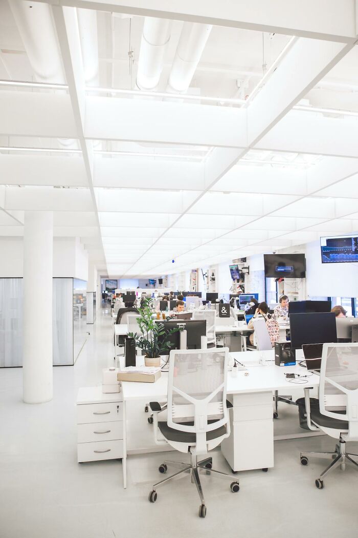 Bright modern open office with workers at desks, illustrating middle class work environment challenges for young Gen Zers.
