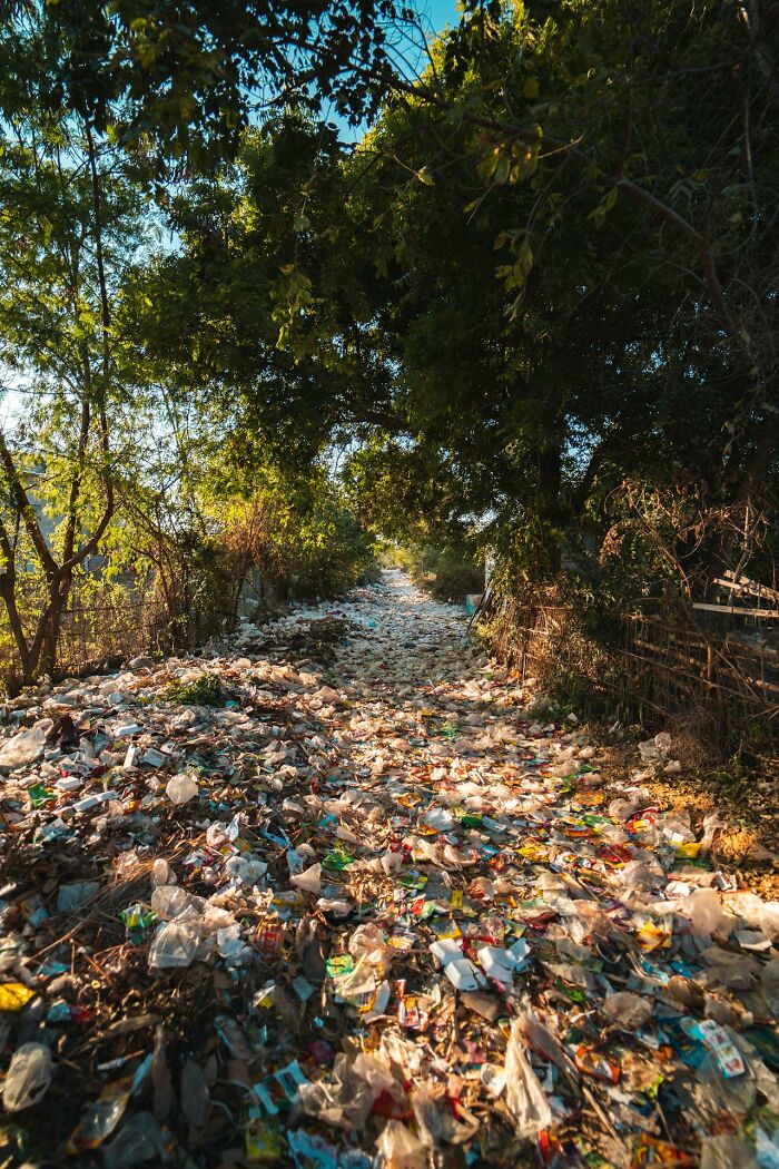 Pathway covered with plastic waste and trash under green trees, symbolizing pollution effects on serotonin syndrome awareness.