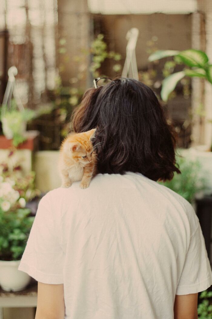 Person with short dark hair wearing a white shirt with a small orange kitten on their shoulder in a garden setting.