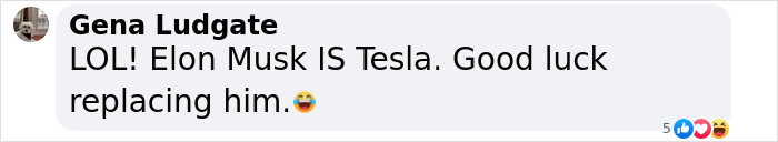 Screenshot of a Facebook comment saying Elon Musk is Tesla and wishing good luck replacing him.