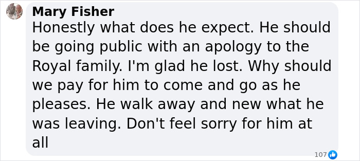 Comment criticizes Prince Harry's actions and mentions Royal family, apology, and public reaction regarding King Charles and Diana.