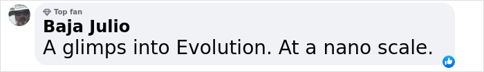 Comment by Baja Julio describing evolution at a nano scale in a social media post with top fan badge visible.