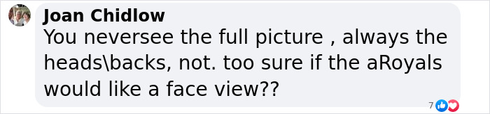 Comment by Joan Chidlow expressing doubt about seeing a full face view of 3-year-old Lilibet in Meghan Markle's beekeeping clip. Comment by Joan Chidlow expressing doubt about seeing a full face view of 3-year-old Lilibet in Meghan Markle's beekeeping clip.