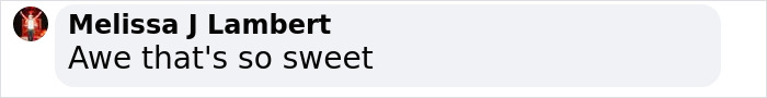 Comment on social media post by Melissa J Lambert saying awe that&rsquo;s so sweet in a simple white text box.