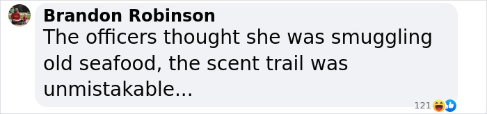 Comment by Brandon Robinson mentioning officers suspecting smuggling, related to Bonnie Blue arrest video and sister's update.