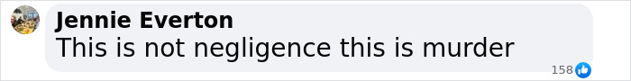 Facebook comment by Jennie Everton stating This is not negligence this is murder with 158 likes, related to mom mysteriously passes away on Turkey vacation and missing heart.