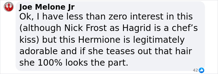 Comment on new cast for Harry, Hermione, and Ron in upcoming Harry Potter series sparking divided opinions online.