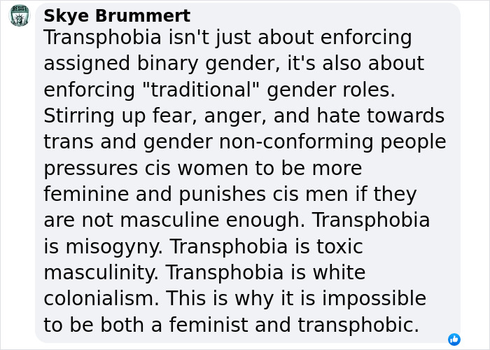 Comment by Skye Brummert explaining transphobia as enforcing traditional gender roles and its ties to misogyny, toxic masculinity, and colonialism.