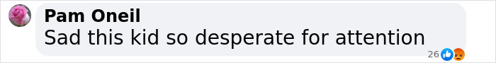 Comment section screenshot showing a user named Pam Oneil expressing frustration about attention-seeking behavior online. Comment section screenshot showing a user named Pam Oneil expressing frustration about attention-seeking behavior online.