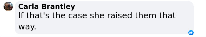 Screenshot of a Facebook comment by Carla Brantley responding to Charlize Theron's children having zero respect for her.