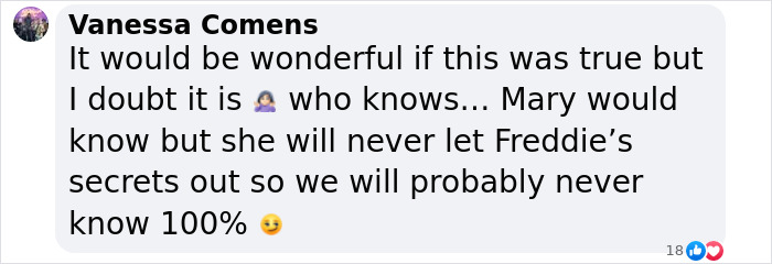 Facebook comment discussing Freddie Mercury&rsquo;s secret child and the uncertainty surrounding his personal secrets.