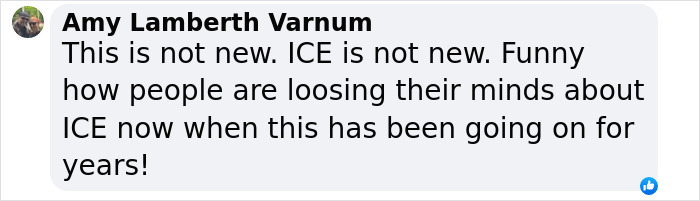 Screenshot of a Facebook comment discussing ICE and public reactions to raids affecting families and life savings.