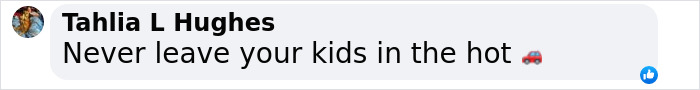 Screenshot of a Facebook comment warning against leaving toddlers in hot cars with a car emoji included. Screenshot of a Facebook comment warning against leaving toddlers in hot cars with a car emoji included.