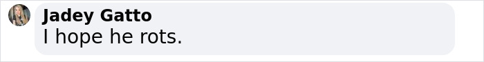 Screenshot of a social media comment expressing anger about the man who left toddler to pass hot car. Screenshot of a social media comment expressing anger about the man who left toddler to pass hot car.