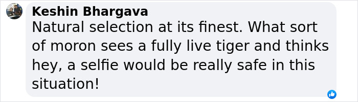 Facebook comment criticizing a man who tried to click a selfie with a tiger, highlighting the stupidity of the act. Facebook comment criticizing a man who tried to click a selfie with a tiger, highlighting the stupidity of the act.