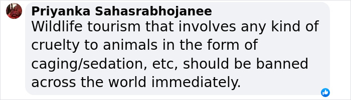 Comment by Priyanka Sahasrabhojanee criticizing wildlife tourism involving cruelty such as caging or sedation of animals. Comment by Priyanka Sahasrabhojanee criticizing wildlife tourism involving cruelty such as caging or sedation of animals.