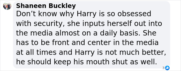 Social media comment criticizing Meghan Markle for not mentioning Prince Harry in anniversary post.