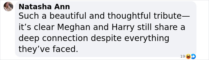 Comment on Meghan Markle anniversary post highlighting her connection with Prince Harry despite criticism.