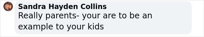 Screenshot of a Facebook comment by Sandra Hayden Collins urging parents to set a good example for their kids during a traumatic kindergarten brawl.