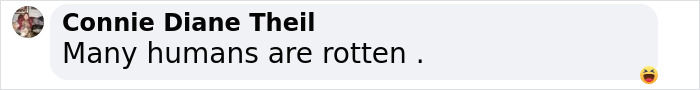 Comment by Connie Diane Theil stating many humans are rotten, related to controversial artist public gallery experience. Comment by Connie Diane Theil stating many humans are rotten, related to controversial artist public gallery experience.