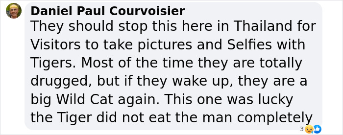 Comment warning against taking selfies with tigers in Thailand due to dangers of tiger attacks on people. Comment warning against taking selfies with tigers in Thailand due to dangers of tiger attacks on people.