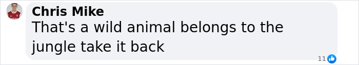 Facebook comment stating a warning about a wild animal belonging to the jungle and advising to take it back. Facebook comment stating a warning about a wild animal belonging to the jungle and advising to take it back.