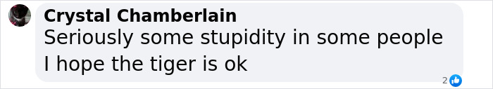 Facebook comment expressing concern about people’s stupidity and hoping the tiger involved in the attack is okay. Facebook comment expressing concern about people’s stupidity and hoping the tiger involved in the attack is okay.