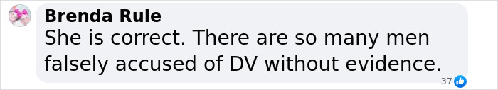 Comment from Brenda Rule discussing false accusations in domestic violence cases amidst fiery debate on women committing domestic violence.