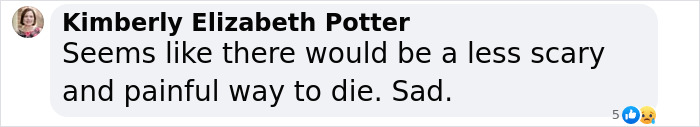 Comment by Kimberly Elizabeth Potter discussing an experienced skydiver with over 400 flights who may have jumped to her demise purposely.