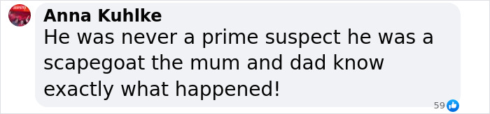Screenshot of a social media comment discussing the Madeleine McCann case and suspect information.