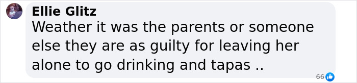 Comment on Madeleine McCann case from user Ellie Glitz criticizing the parents' responsibility and behavior online.