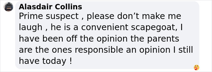 Screenshot of a social media comment questioning the prime suspect in the Madeleine McCann case shared by German police.