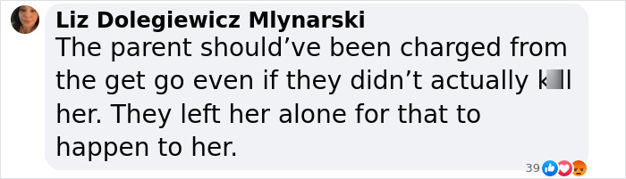 Comment by Liz Dolegiewicz Mlynarski expressing that the parent should have been charged related to Madeleine McCann case.