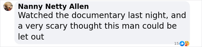 Comment by Nanny Netty Allen reacting to Madeleine McCann case development, expressing concern about suspect release.